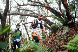 BIB: 
                            <button type="button" onclick="openModal(26297631)" class="btn btn-primary btn-sm float-right btn-popup" data-toggle="modal" data-target=".modal-high-quality">
                        <i class="fas fa-shopping-cart"></i> Add to Cart
                    </button>
                                            <button type="button" onclick="isThisMe(26297631, true)" class="btn btn-success btn-sm float-right btn-popup btn-isme hidden" data-toggle="tooltip" data-placement="bottom" title="นี่คือรูปของคุณใช่ไหม คลิกที่นี่เพื่อเอาเข้าอัลบั้ม">
                        <i class="fas fa-plus"></i> Add to album
                    </button>
                    <button type="button" onclick="isThisMe(26297631, false)" class="btn btn-warning btn-sm float-right btn-popup btn-isnotme hidden">
                        <i class="fas fa-ban"></i> Remove from album
                    </button>